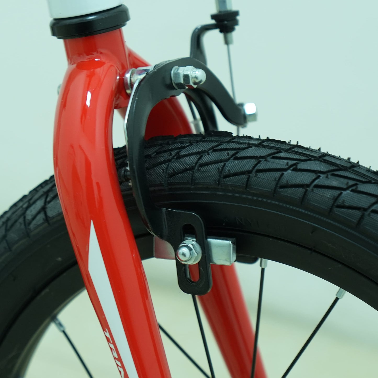 Trinx 16-Inch Seals Kids Bike