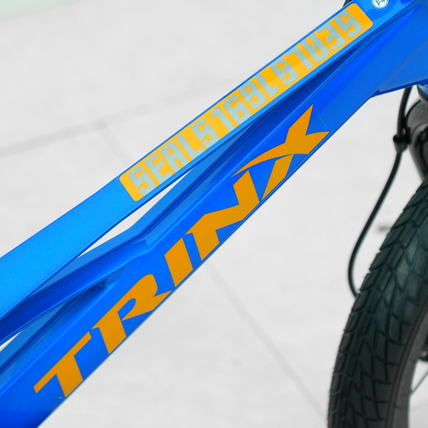 Trinx 16-Inch Seals Disc Kids Bike