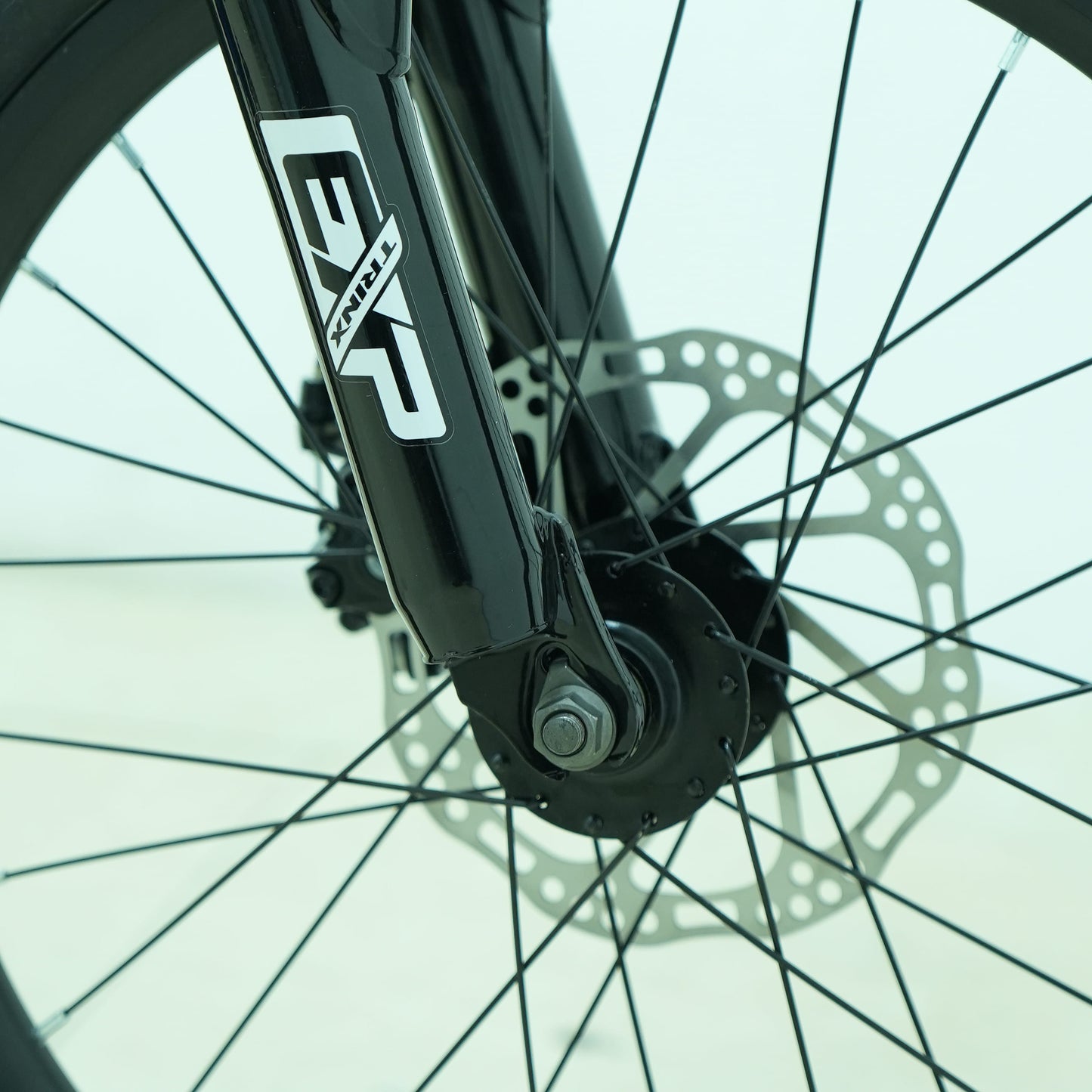 Trinx 20-Inch Seal 2.0 with Gear | Kids Bike