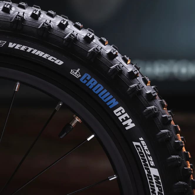 Early Rider Seeker 16 Kids Bike