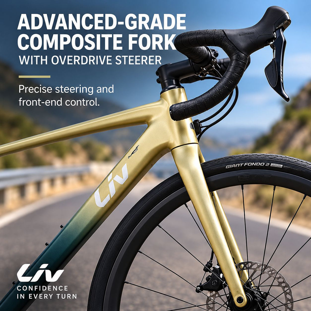 GIANT Liv Avail AR 2 All-Road Endurance Bike - M
