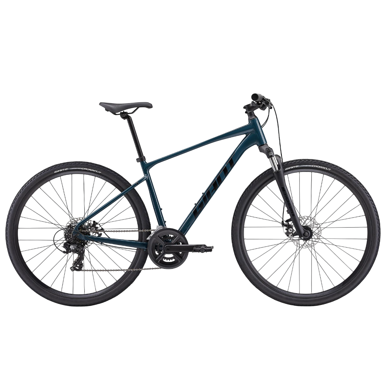 GIANT Roam 4 Disc Bike | Deep Lake | XL