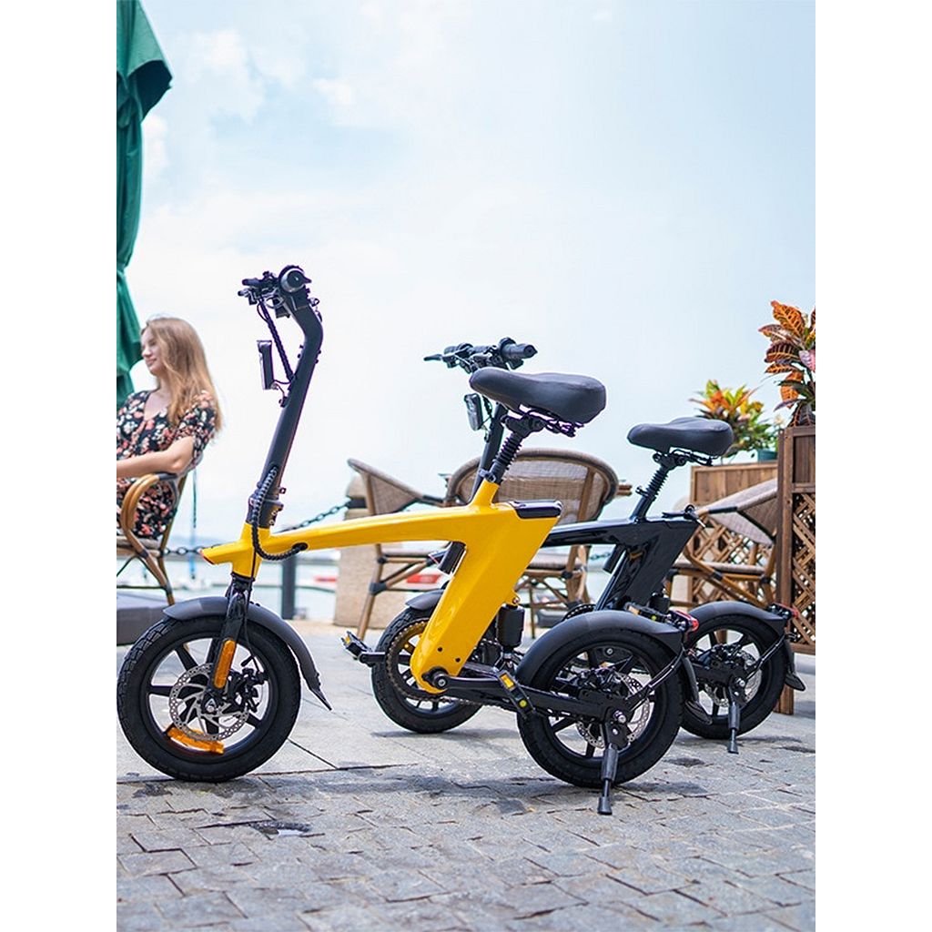 Harley Fitness E-Bike H1