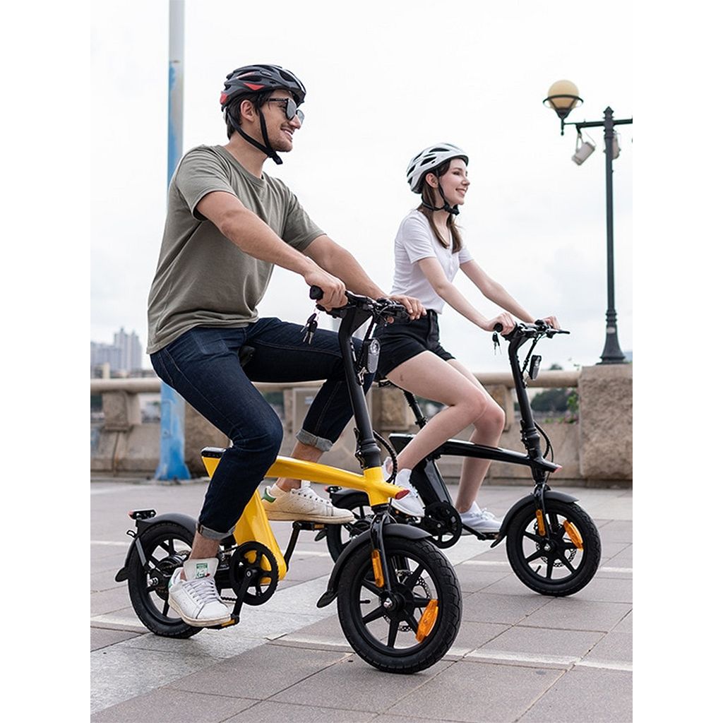 Harley Fitness E-Bike H1