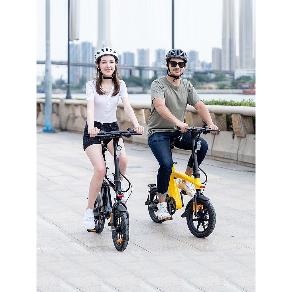 Harley Fitness E-Bike H1