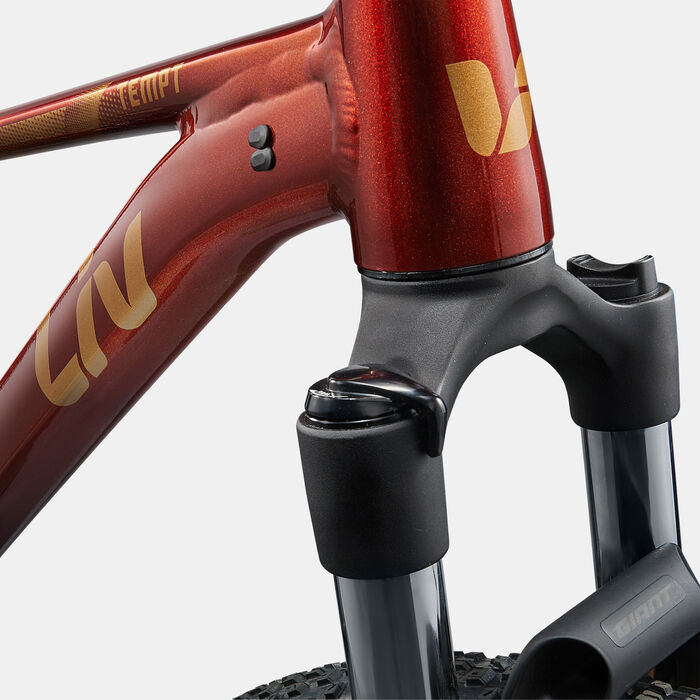 Giant Liv Tempt 2 Mountain Bike