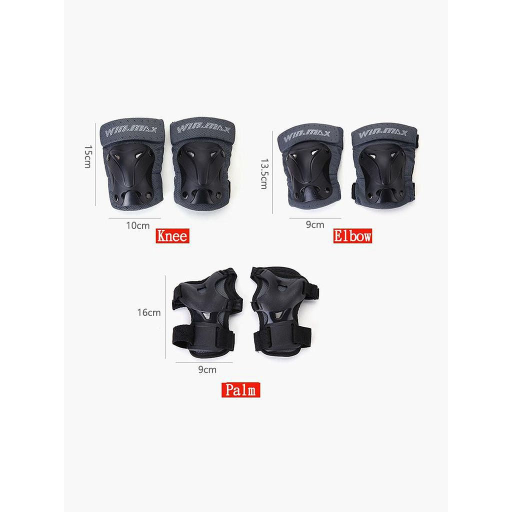 Winmax Professional Protector