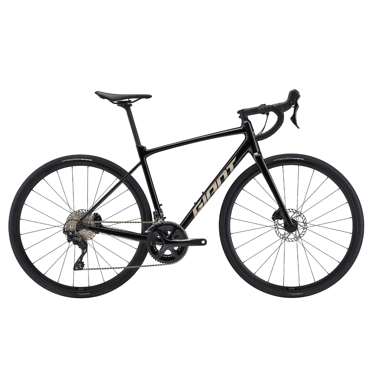 GIANT Contend Ar Panther Road Bike| M-L The Bicycle shop – The