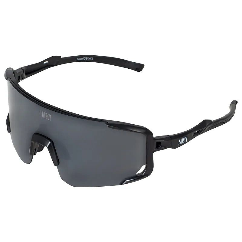 Baisky Sport Sunglasses - Black/Gray