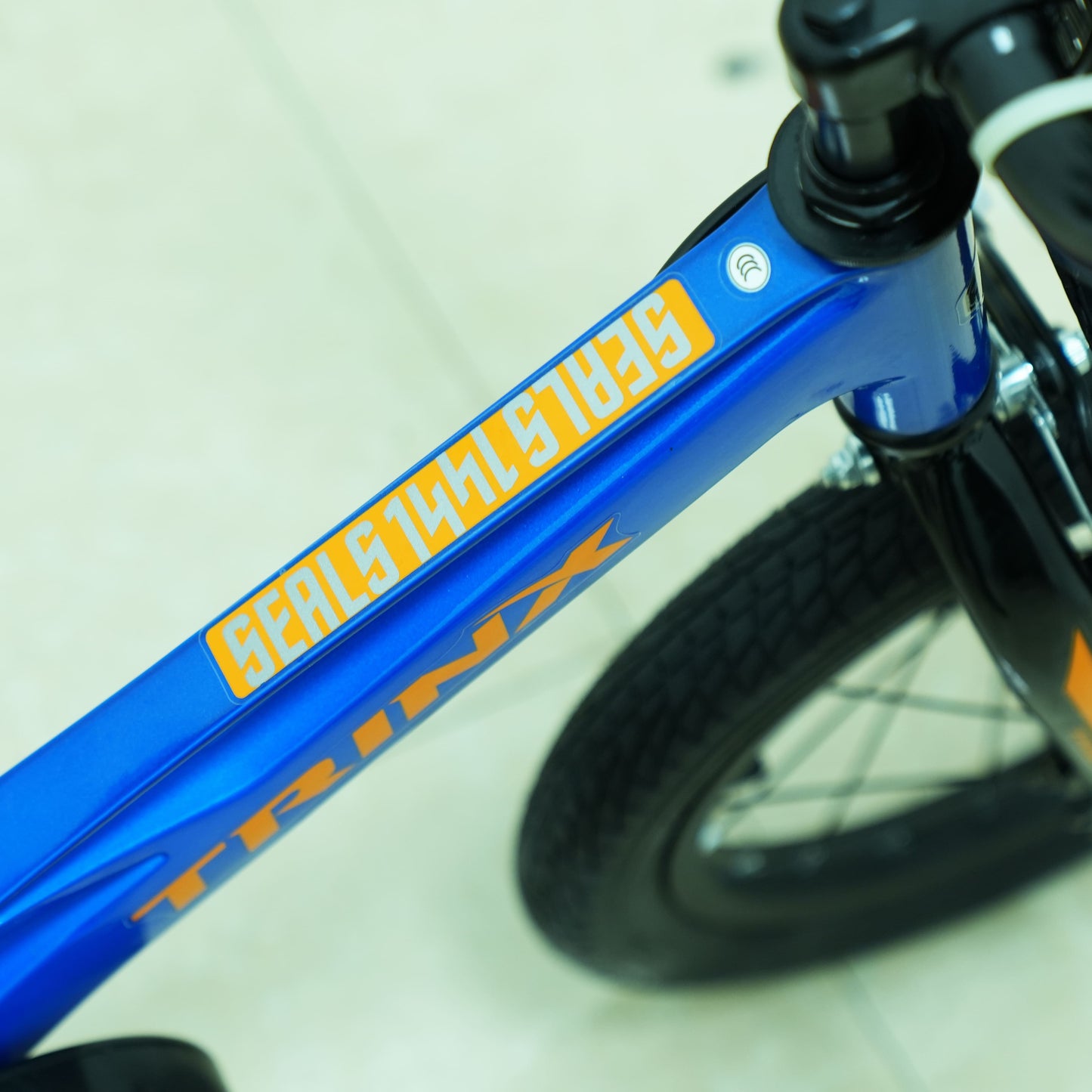 Trinx 14-Inch Seals Kids Bike