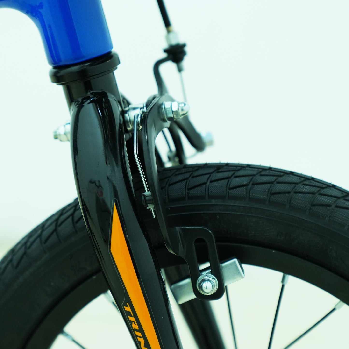 Trinx 14-Inch Seals Kids Bike