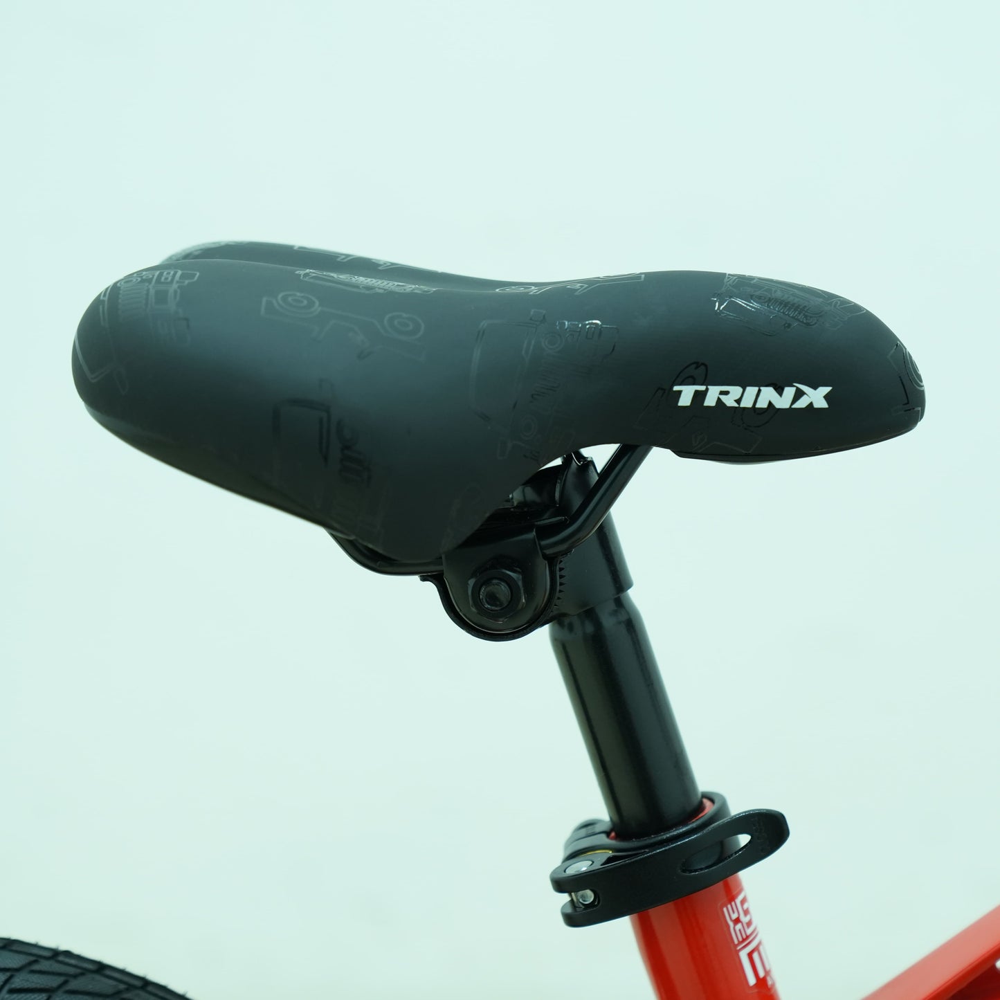Trinx 14-Inch Seals Kids Bike