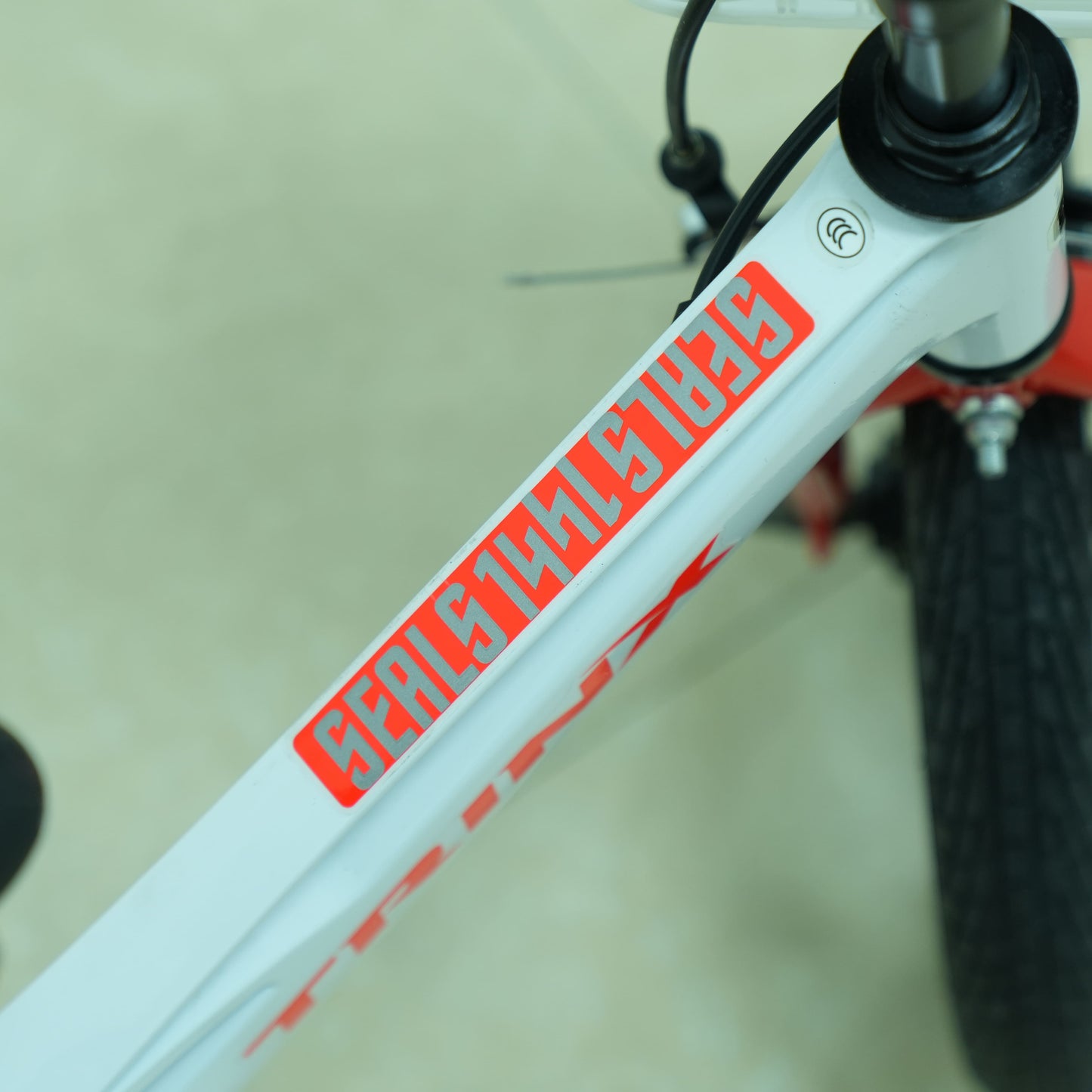 Trinx 14-Inch Seals Kids Bike