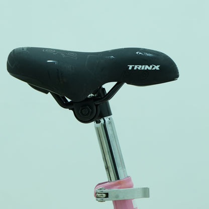 Trinx 16-Inch Princess 2.0 Kids Bike