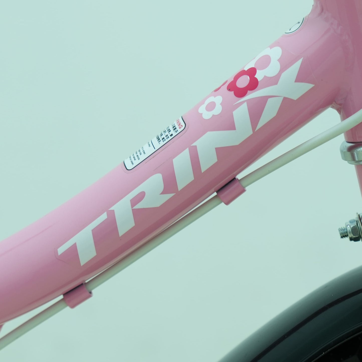 Trinx 16-Inch Princess 2.0 Kids Bike
