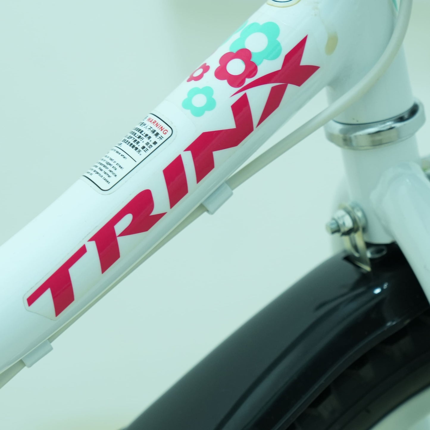 Trinx 16-Inch Princess 2.0 Kids Bike