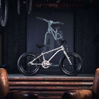 Early Rider Seeker 16 Kids Bike