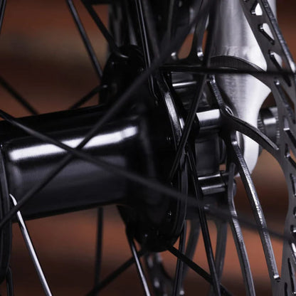 Early Rider Seeker 20 Kids Trail Bike