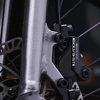 Early Rider Seeker 20 Kids Trail Bike