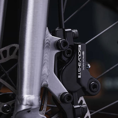 Early Rider Seeker 24 Kids Trail Bike - Brushed Aluminium