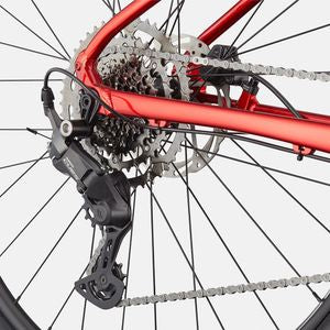 Cannondale Trail 2 29 Mountain Bike – MRD | Medium