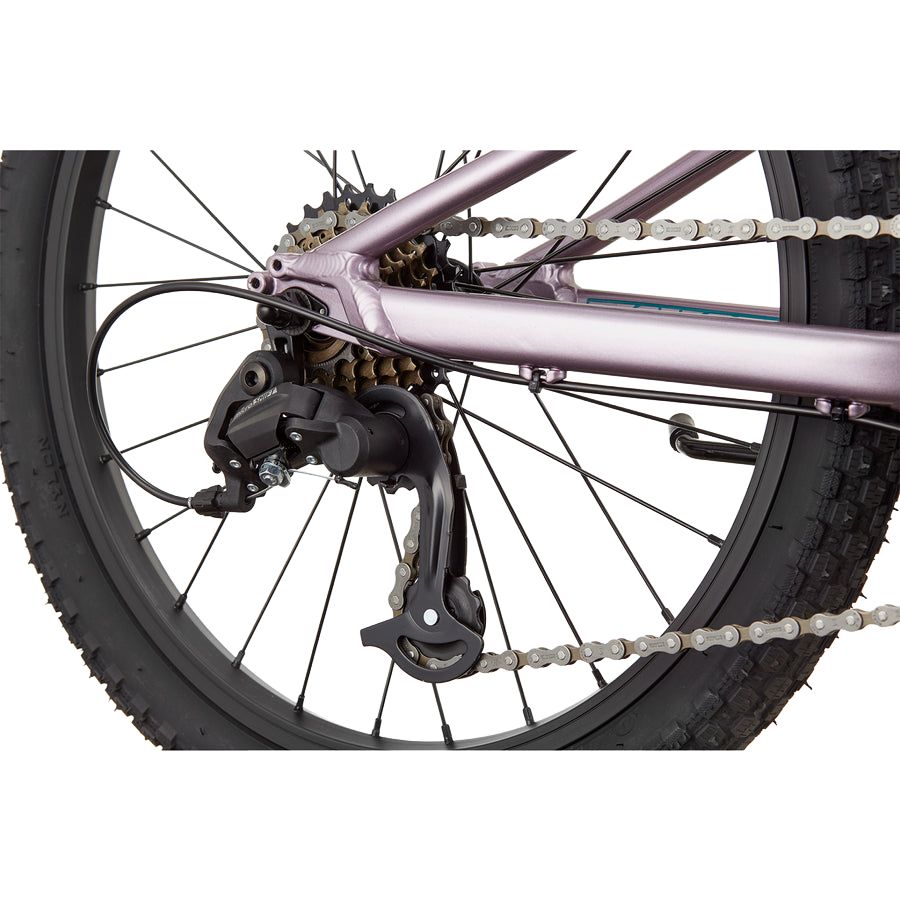 Cannondale Trail  Kids Mountain Bike - Lavender | 20 - Inches