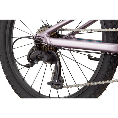 Cannondale Trail  Kids Mountain Bike - Lavender | 20 - Inches
