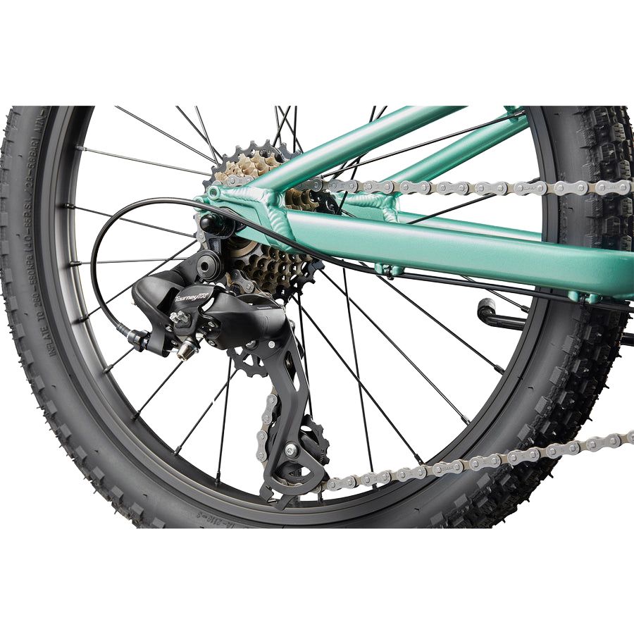 Cannondale Trail  Kids Mountain Bike - Lavender | 20 - Inches