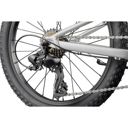 Cannondale Trail  Kids Mountain Bike - Lavender | 20 - Inches