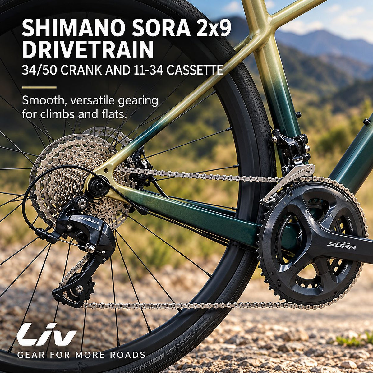 GIANT Liv Avail AR 2 All-Road Endurance Bike - M