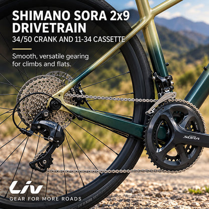 GIANT Liv Avail AR 2 All-Road Endurance Bike - M
