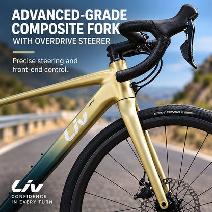GIANT Liv Avail AR 2 All-Road Endurance Bike - M