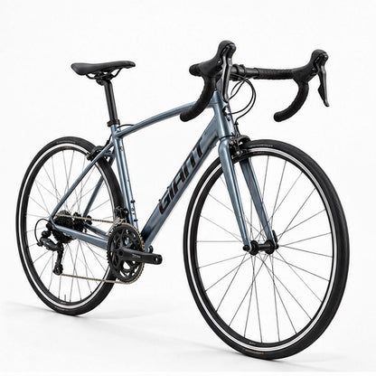 GIANT Contend 3 Road Bikes | Knight Shield - Extra Small