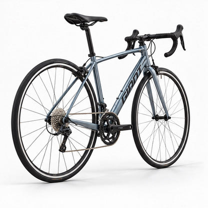 GIANT Contend 3 Road Bikes | Knight Shield - Extra Small