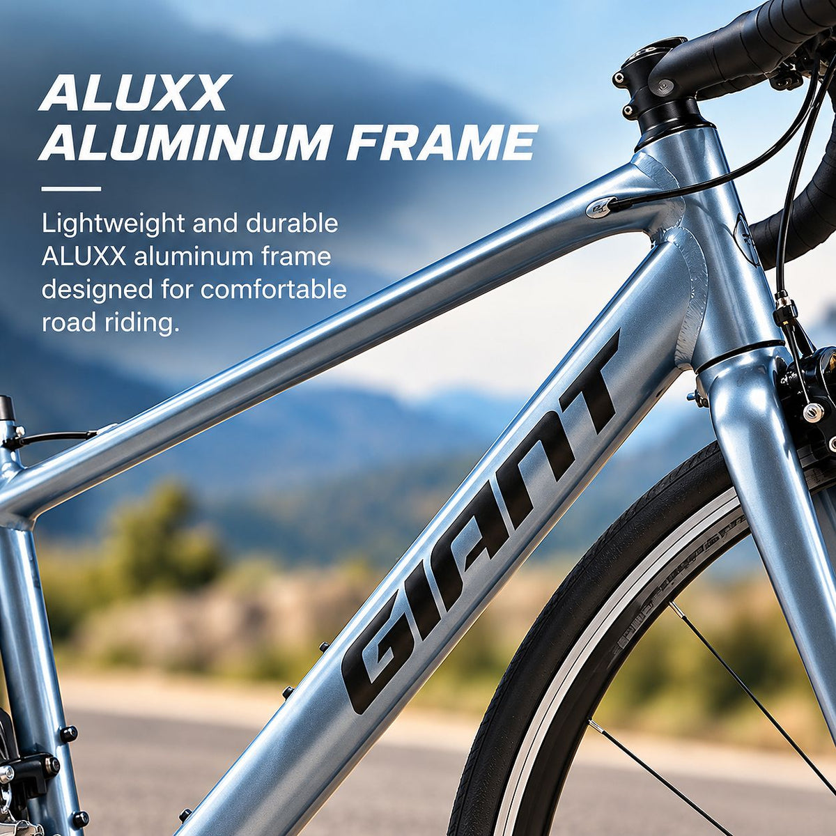 GIANT Contend 3 Road Bikes | Knight Shield - Extra Small