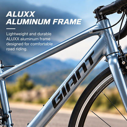 GIANT Contend 3 Road Bikes | Knight Shield - Extra Small