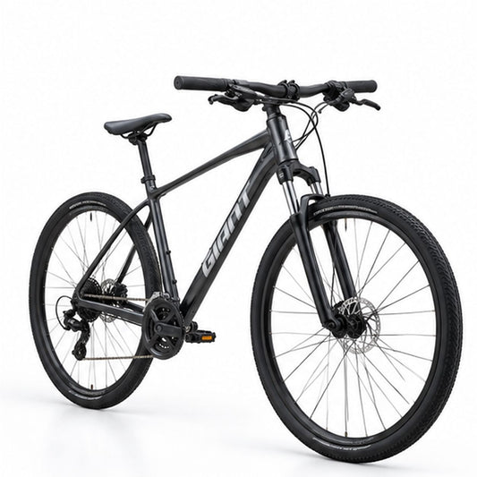 GIANT Roam 4 Gravel Bike | Stealth Chrome - Small