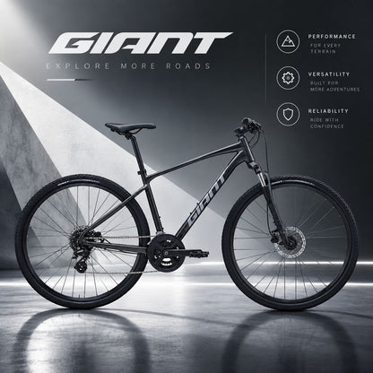 GIANT Roam 4 Gravel Bike | Stealth Chrome - Small