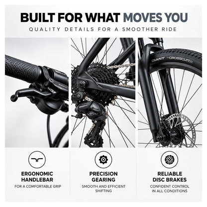 GIANT Roam 4 Gravel Bike | Stealth Chrome - Small