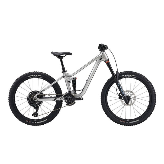GIANT Faith 24 Full Suspension Kids Mountain Bike - Raw Aluminum