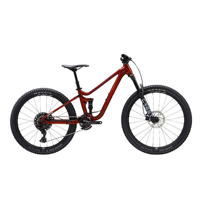 GIANT Faith 24 Full Suspension Kids Mountain Bike - Raw Aluminum