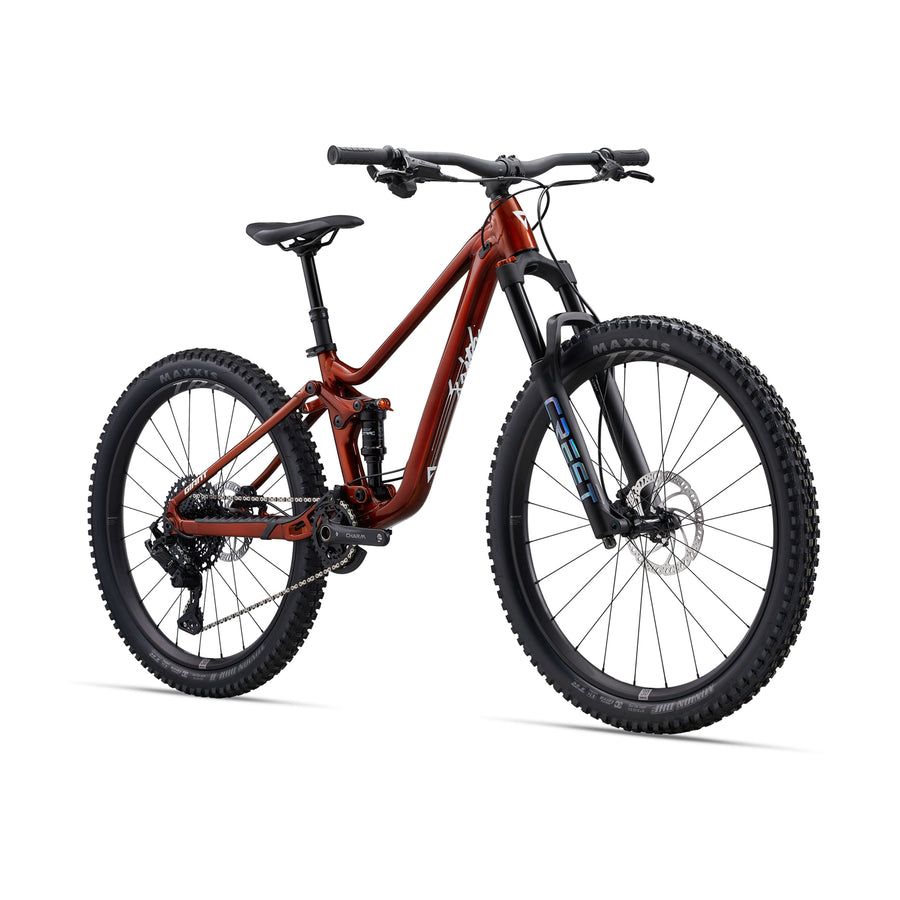 GIANT Faith 24 Full Suspension Kids Mountain Bike - Raw Aluminum