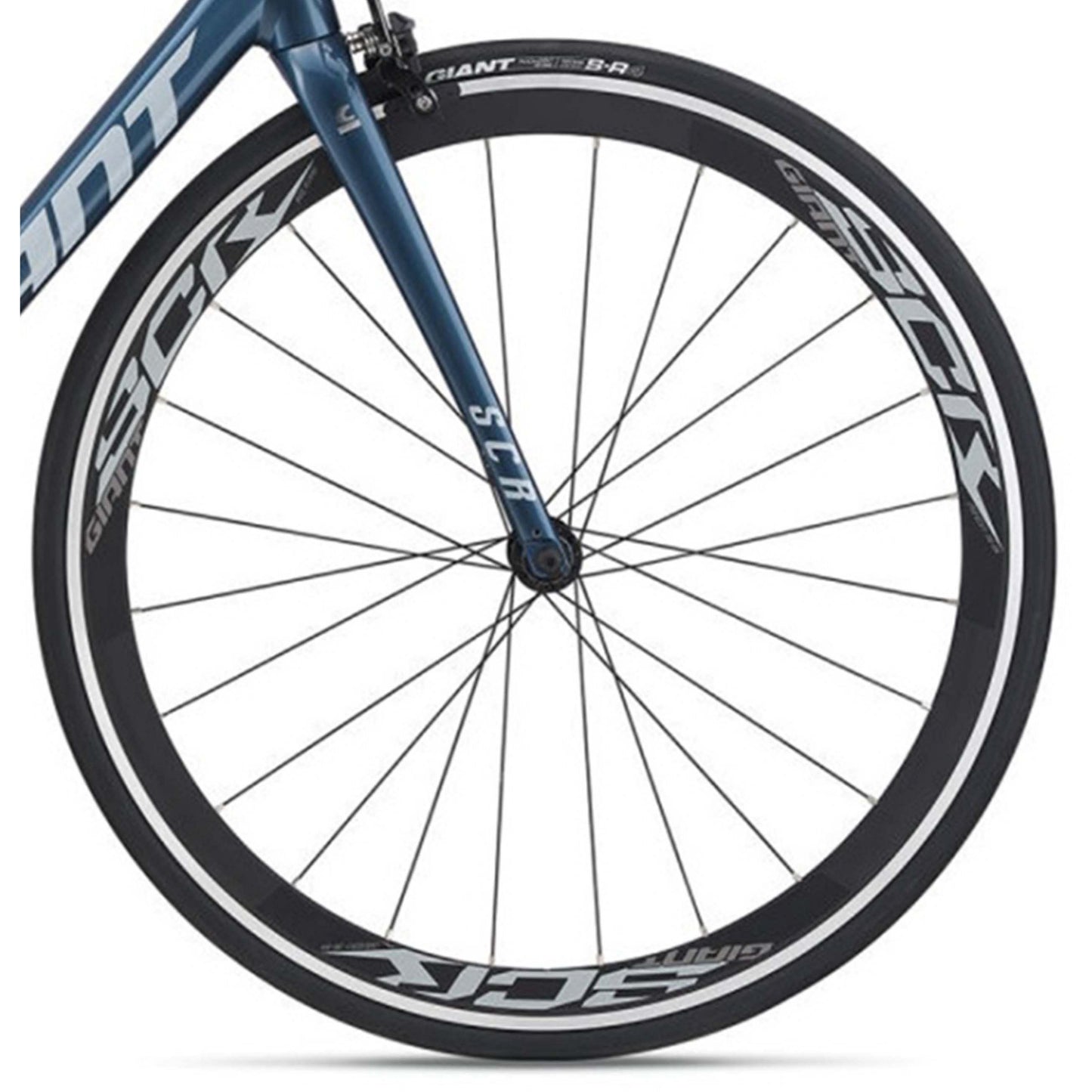 GIANT SCR Blue
