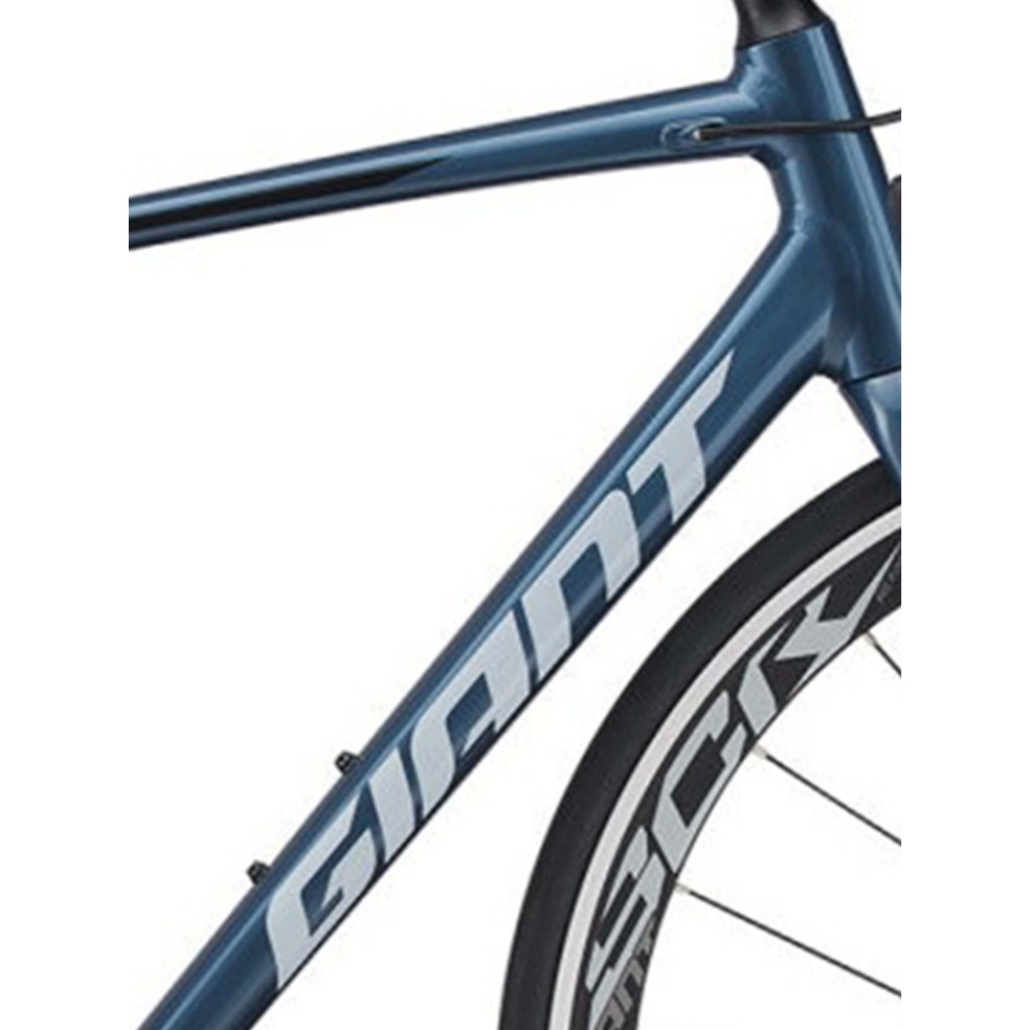 GIANT SCR Blue