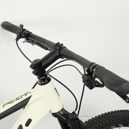 Coluer Pragma 296 SX 12 (XCM RL) Mountain Bike - Matte Silver | 29″ Aluminium Frame