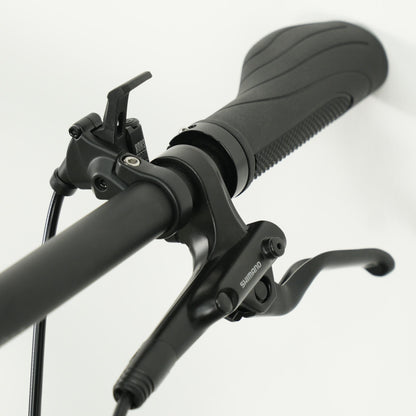 Coluer Pragma 296 SX 12 (XCM RL) Mountain Bike - Matte Silver | 29″ Aluminium Frame