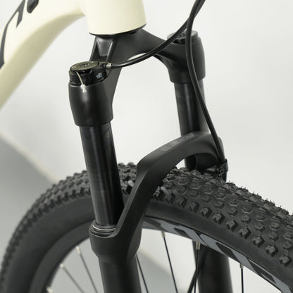 Coluer Pragma 296 SX 12 (XCM RL) Mountain Bike - Matte Silver | 29″ Aluminium Frame