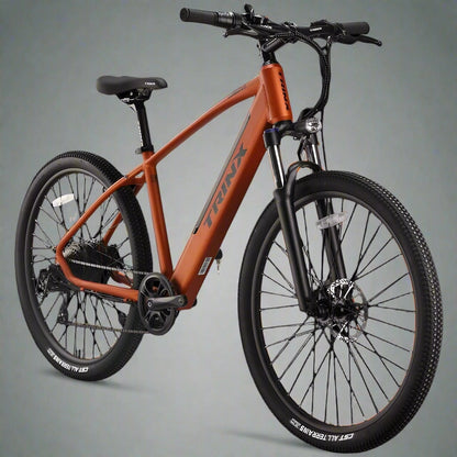 Trinx Groove Electric Bike