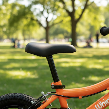 Whimsy Classic 14 - Inch Kids Bike