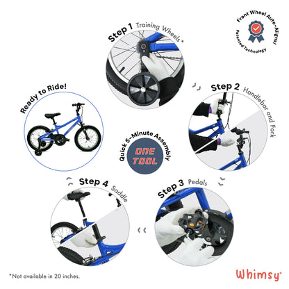Whimsy Pro 16 - Inch Kids Bike